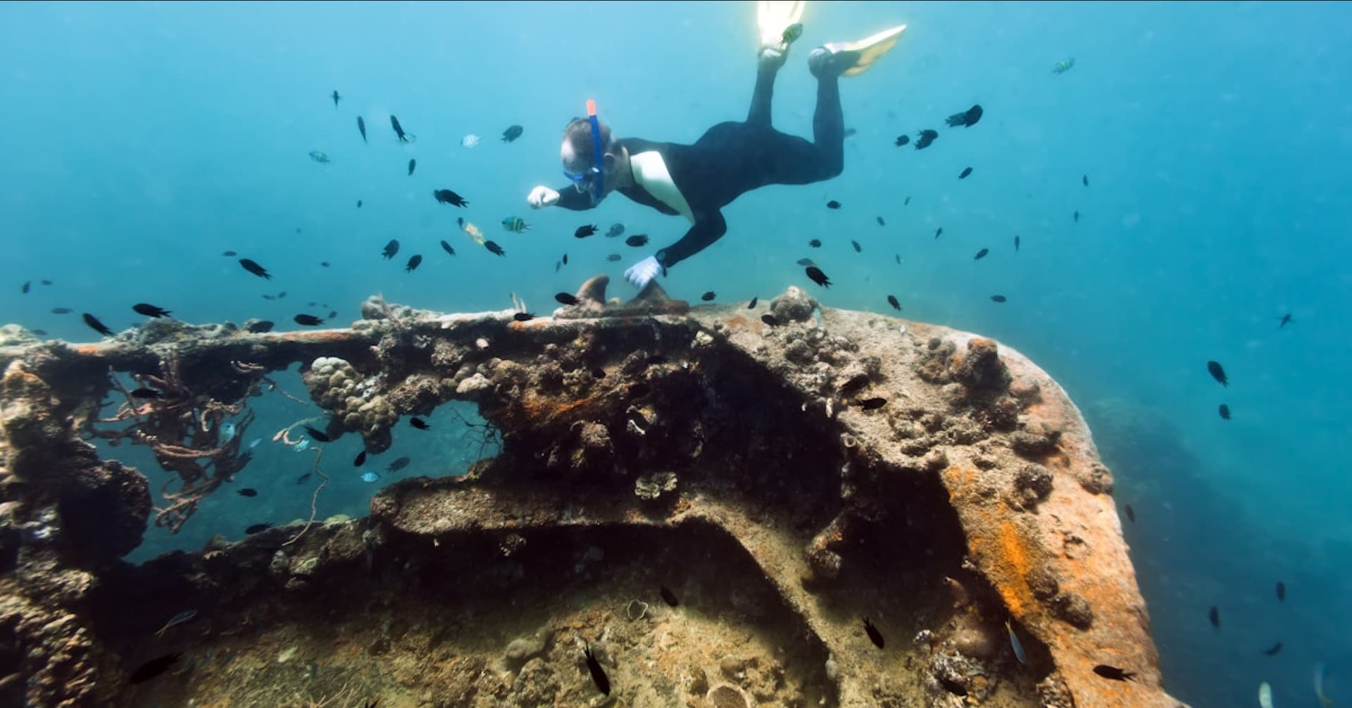 Coron Tour D - Reefs and Wrecks