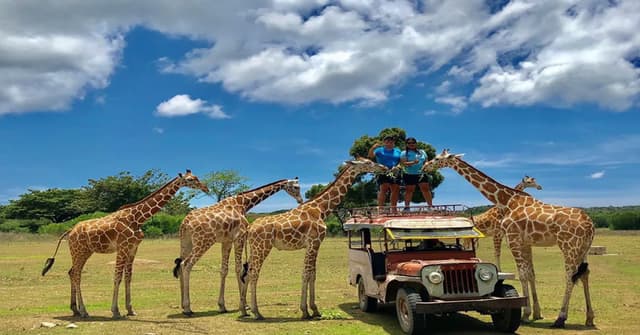 Tour F - Busuanga Calauit